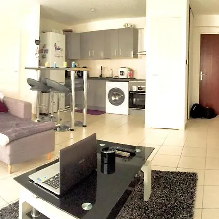 Grand T2 Moderne Avec Exterieur - Wifi - Parking Λε Μανς